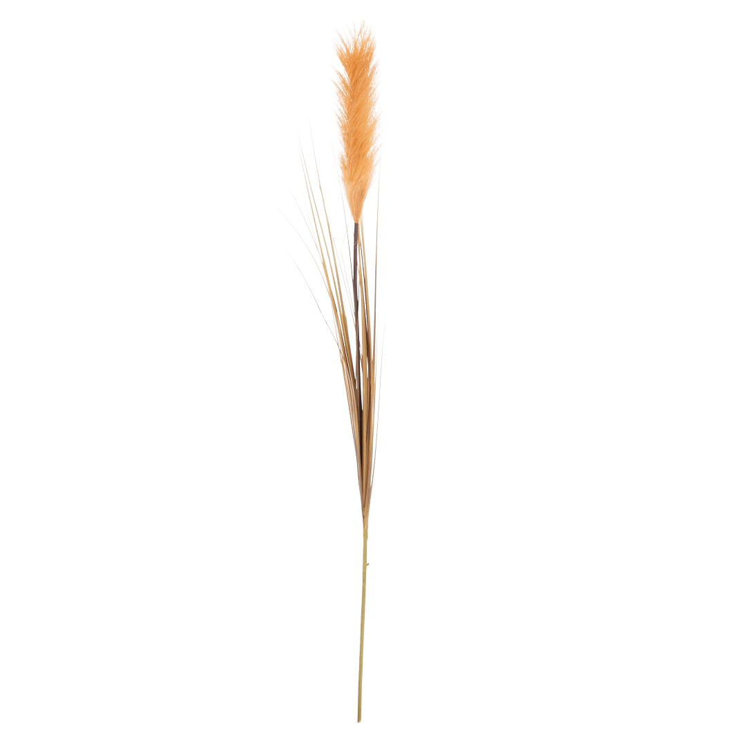 Pampas L95