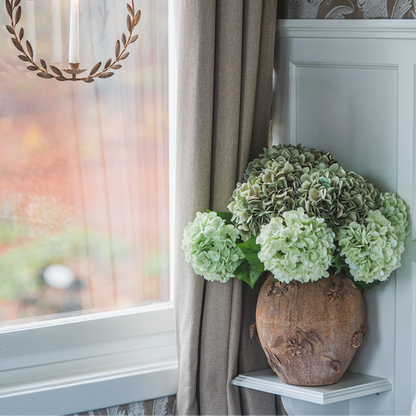 Hortensia grønn 50 cm