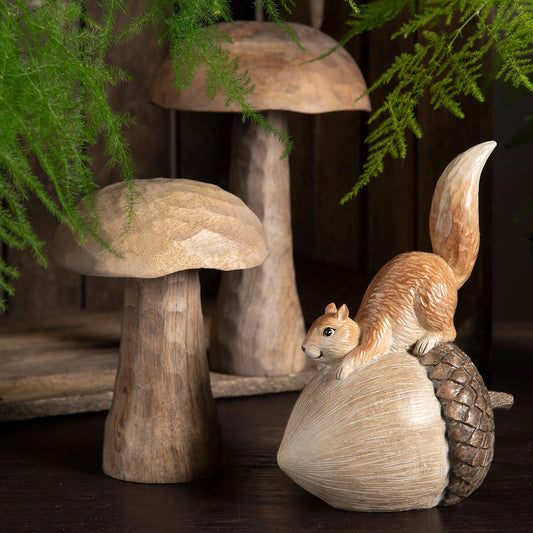 Eikenøtt ekorn lekende