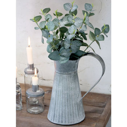 Eucalyptus