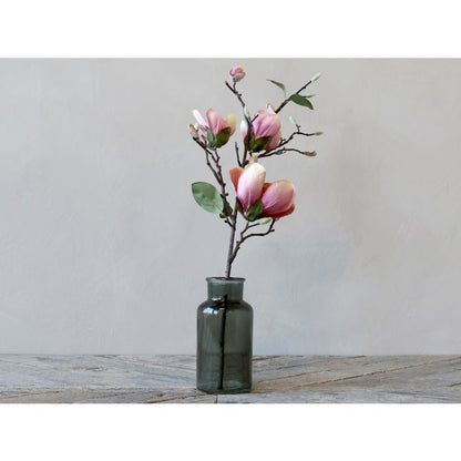 Magnolia rose