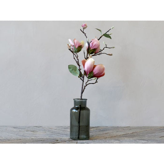 Magnolia rose