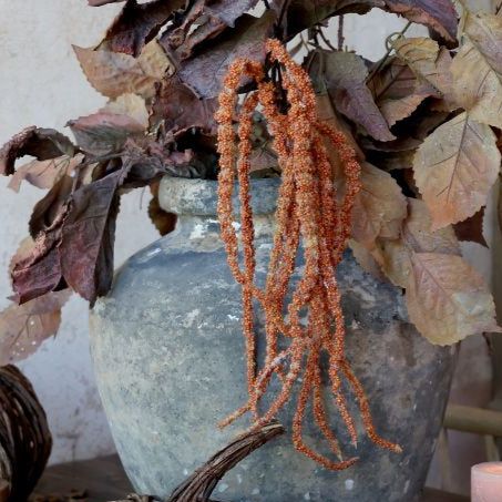 Revehale terracotta