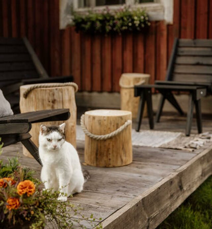 Pölkky stubbe