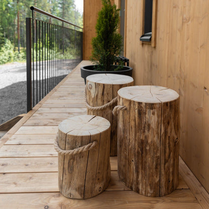 Pölkky stubbe