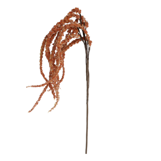 Revehale terracotta