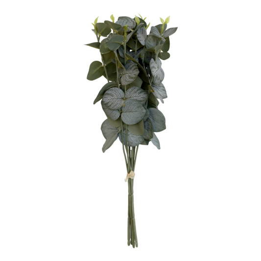 Eucalyptus