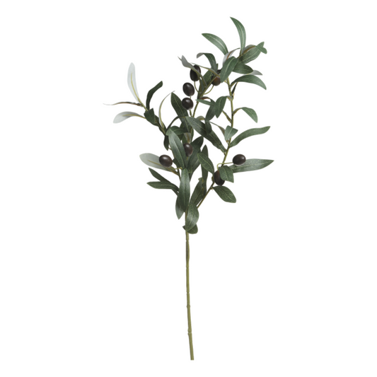 Olivengren