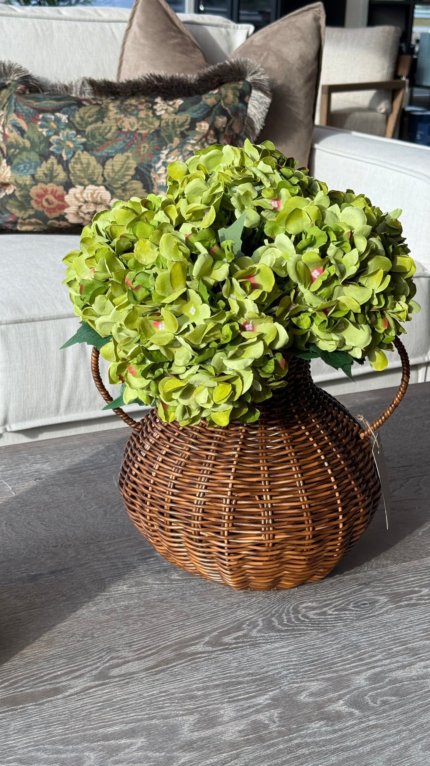 Hortensia olivengrønn
