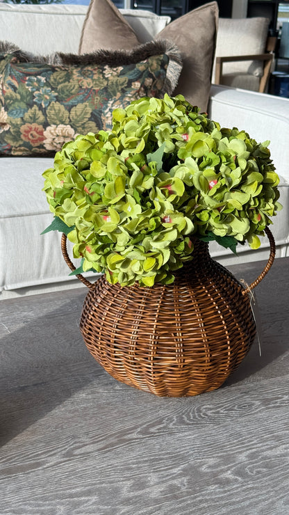 Hortensia olivengrønn