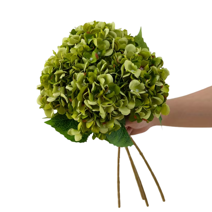 Hortensia olivengrønn