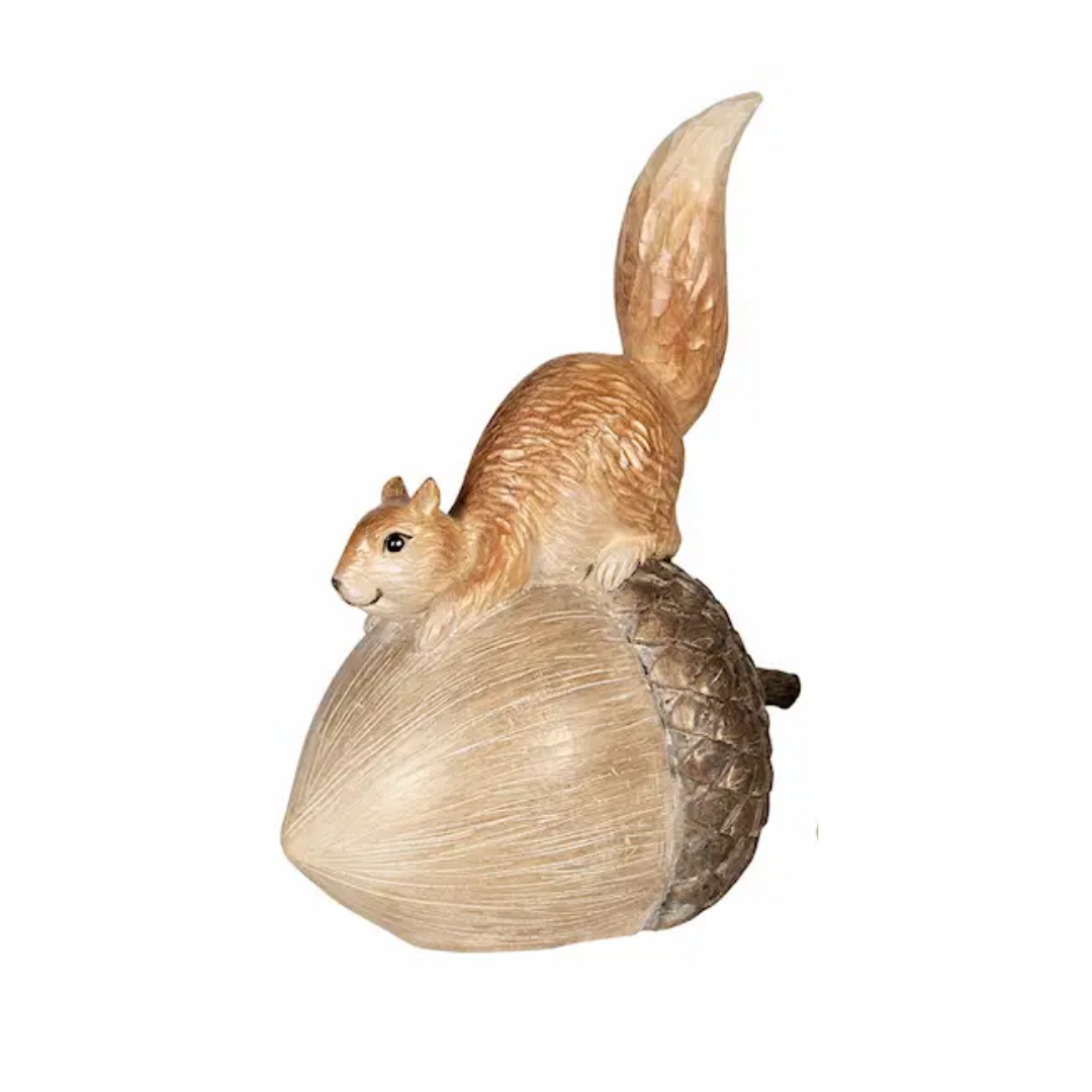 Eikenøtt ekorn lekende