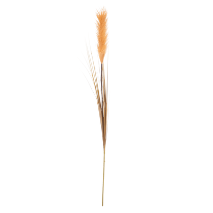 Pampas L95