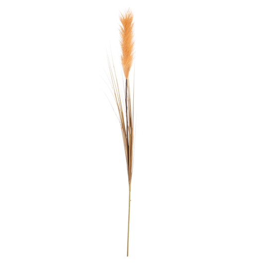 Pampas L95