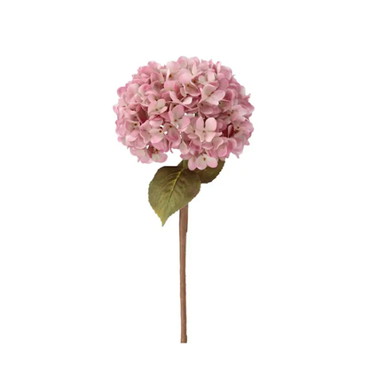Hortensia rosa