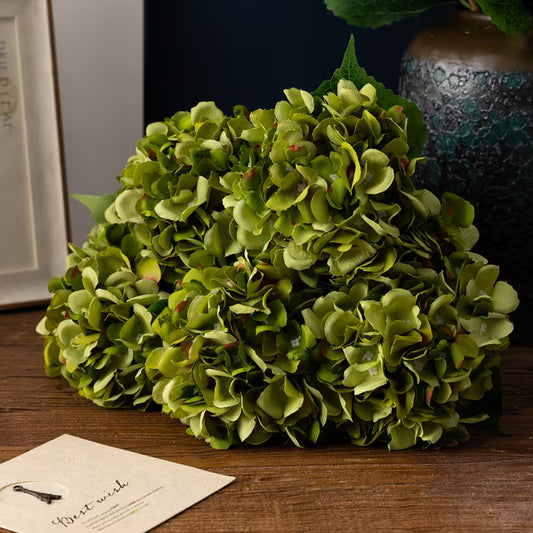Hortensia olivengrønn